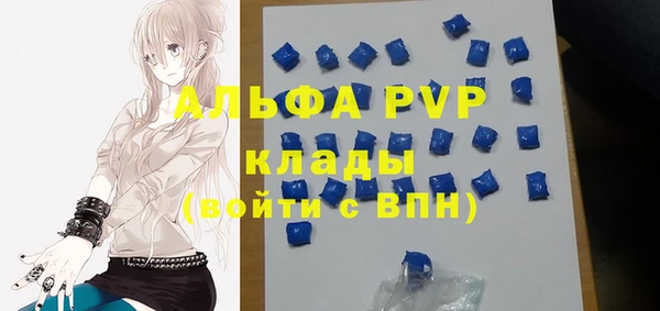 индика Белоозёрский