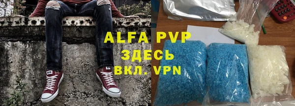 индика Белоозёрский