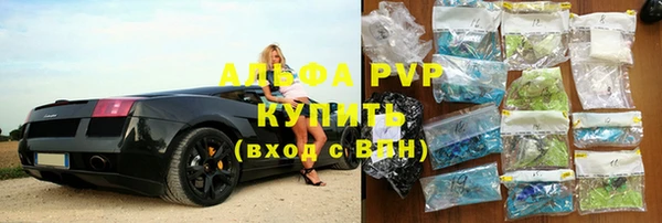 индика Белоозёрский