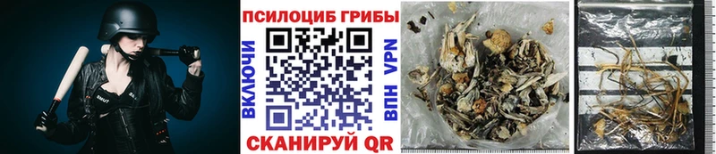 Галлюциногенные грибы Psilocybe купить Янаул